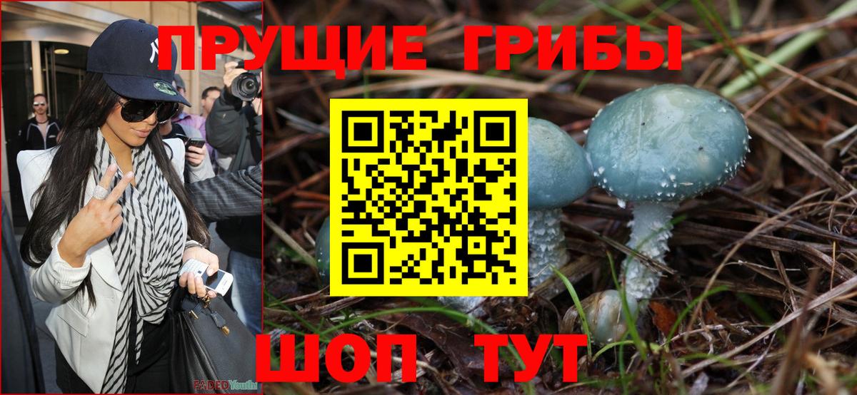 как найти закладки  Галлюциногенные грибы MAGIC MUSHROOMS  Вход с VPN  Энгельс 