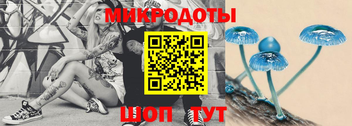 Псилоцибиновые грибы прущие грибы Энгельс